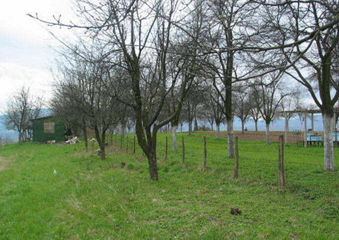 Korića han, arheološko područje 1086255640_resize