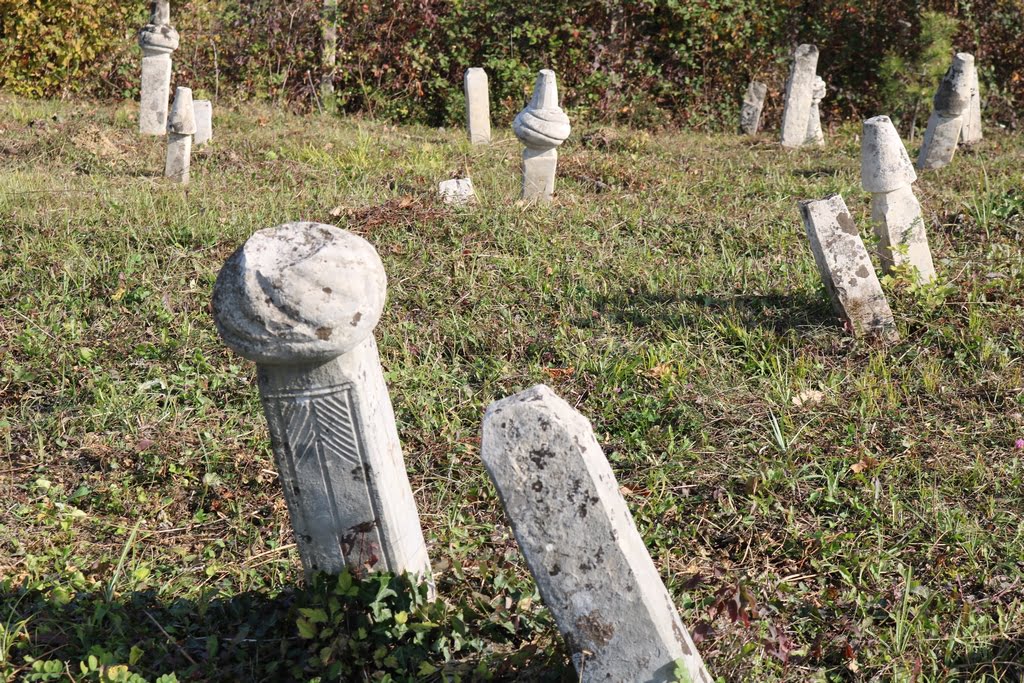 Terensko istraživanje starog mezarja u Tulovićima 0a