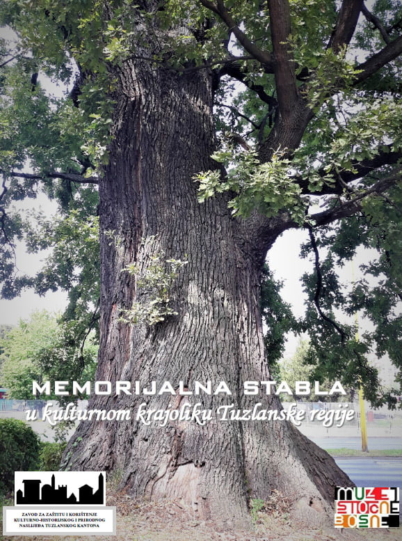 Memorijalna stabla u kulturnom krajoliku Tuzlanske regije memorijalna stabla