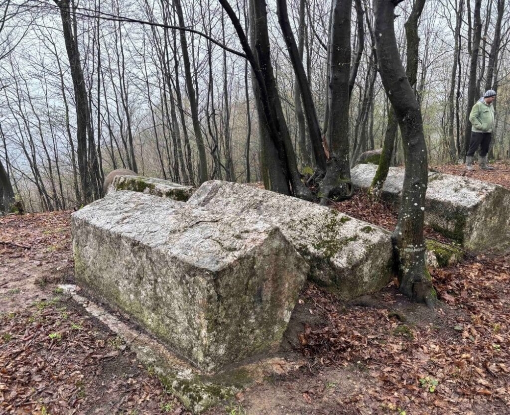 Povodom Međunarodnog dana spomenika: Dokumentovano postojanje nekropole stećaka u naselju Stupari, općina Kladanj